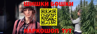 скорость Дубна