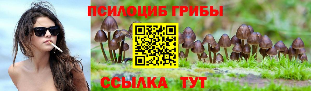 Мелеуз  Галлюциногенные грибы Cubensis  Вход с VPN 